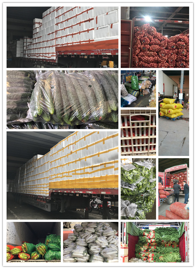 XPJ(中国大陆)有限公司官网