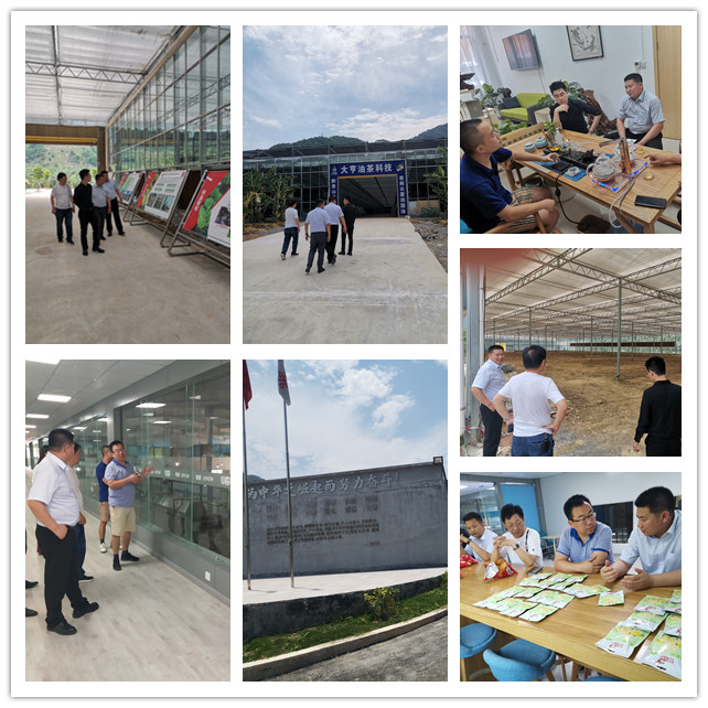 XPJ(中国大陆)有限公司官网