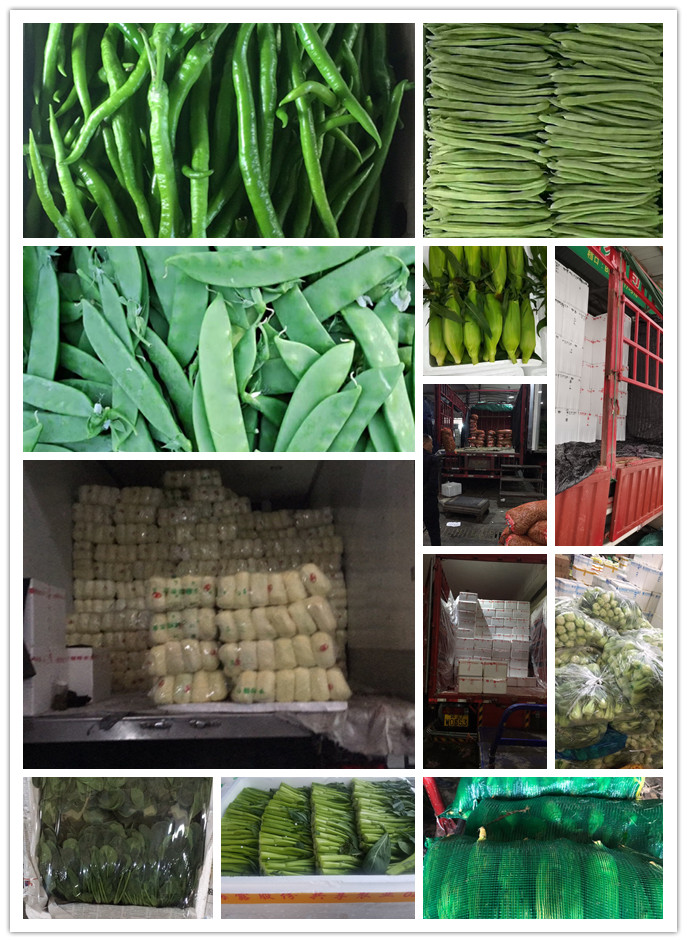 XPJ(中国大陆)有限公司官网