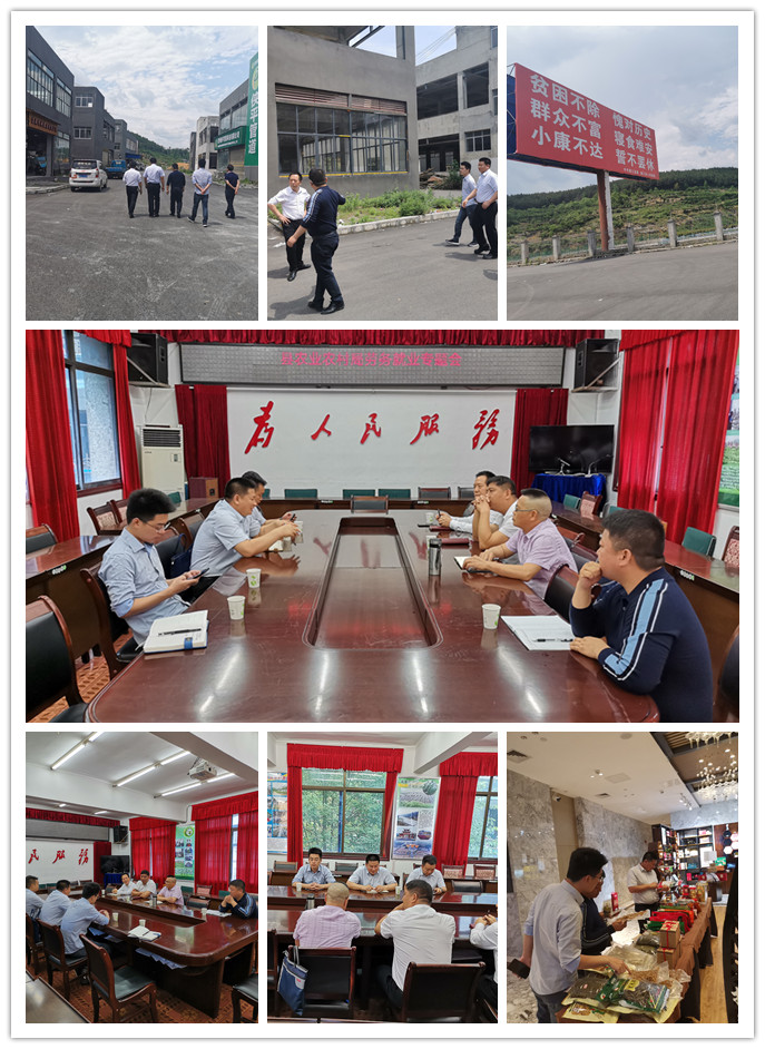 XPJ(中国大陆)有限公司官网