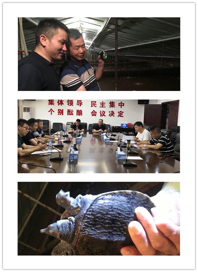 XPJ(中国大陆)有限公司官网