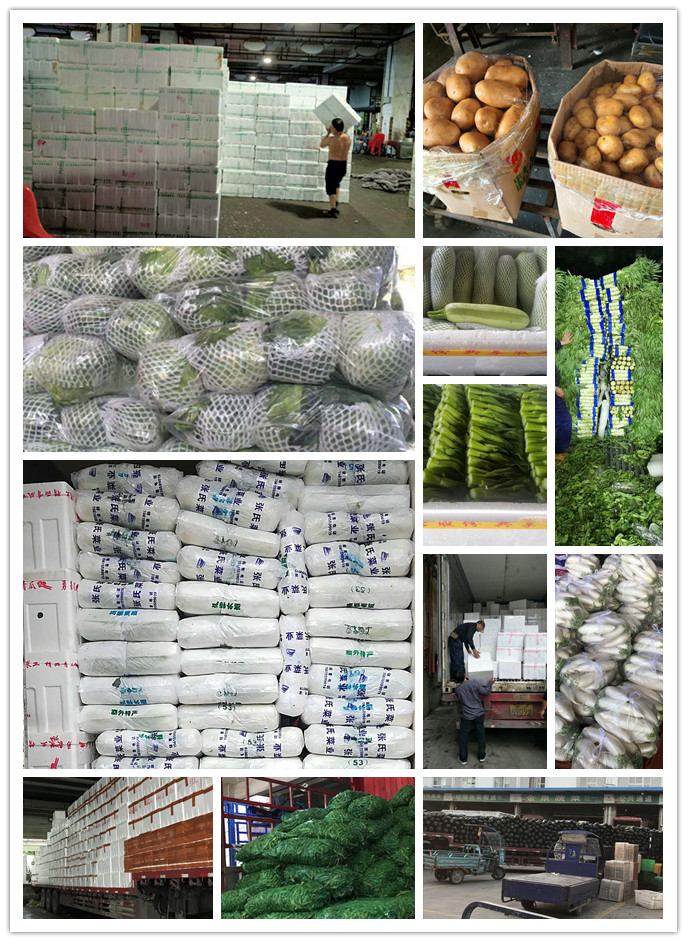 XPJ(中国大陆)有限公司官网