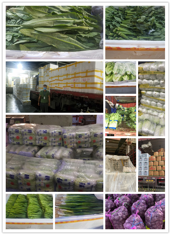 XPJ(中国大陆)有限公司官网