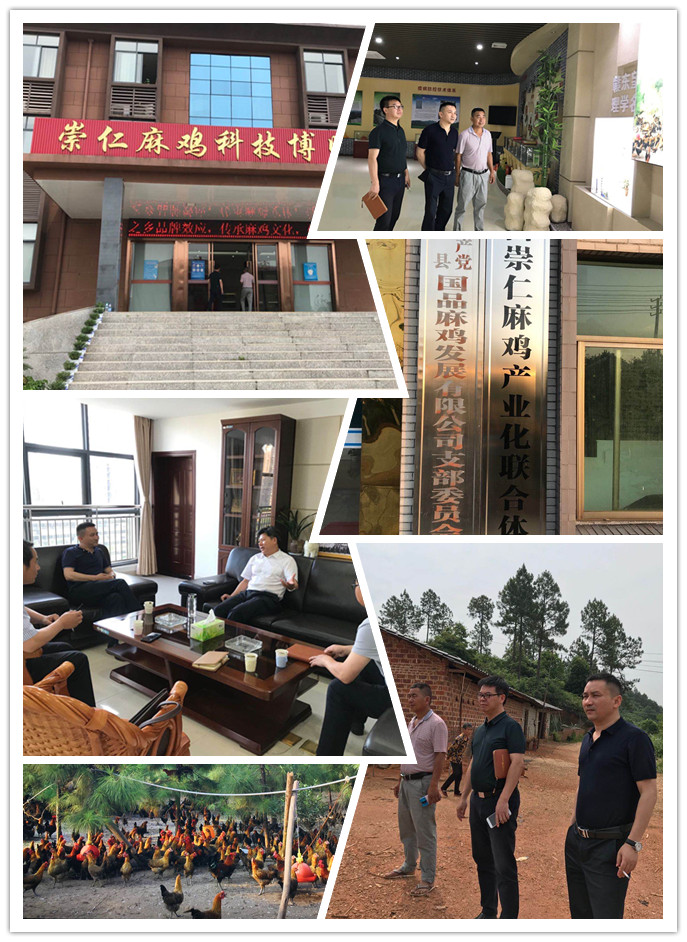 XPJ(中国大陆)有限公司官网