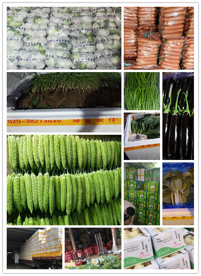 XPJ(中国大陆)有限公司官网