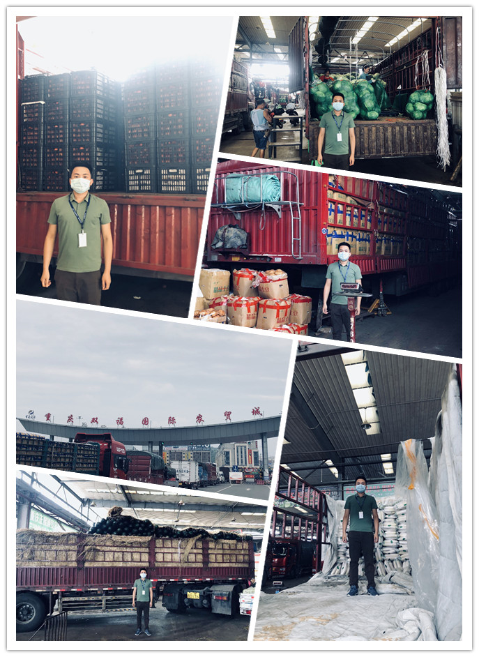 XPJ(中国大陆)有限公司官网