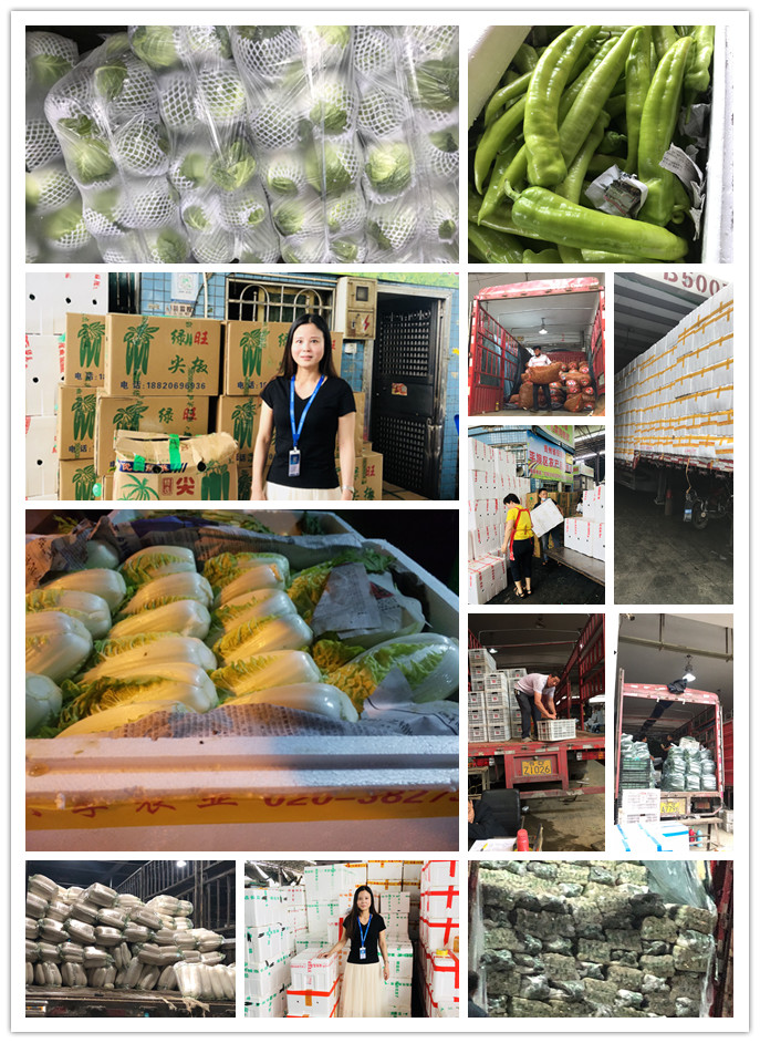 XPJ(中国大陆)有限公司官网