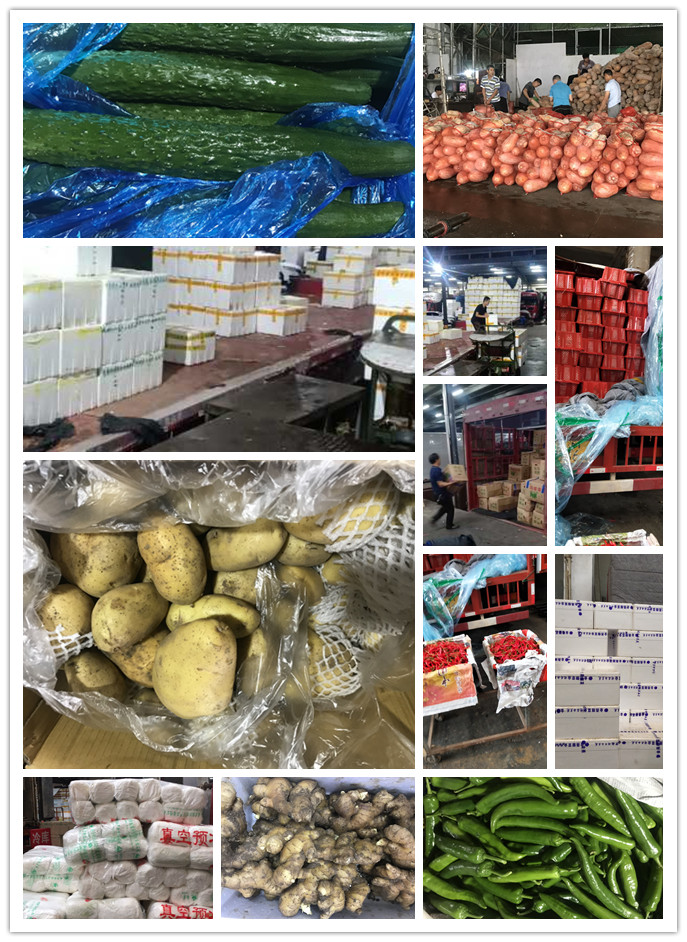 XPJ(中国大陆)有限公司官网