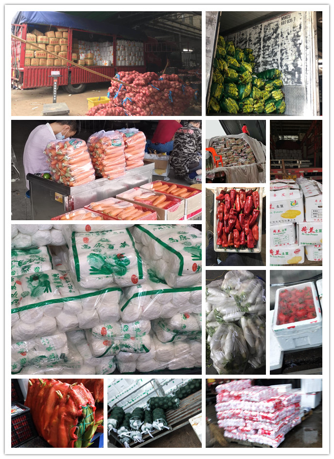 XPJ(中国大陆)有限公司官网