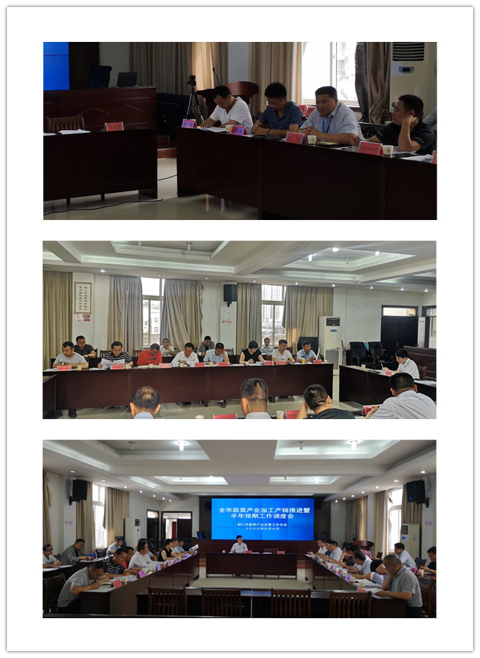 XPJ(中国大陆)有限公司官网