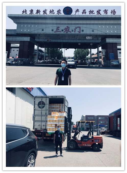 XPJ(中国大陆)有限公司官网