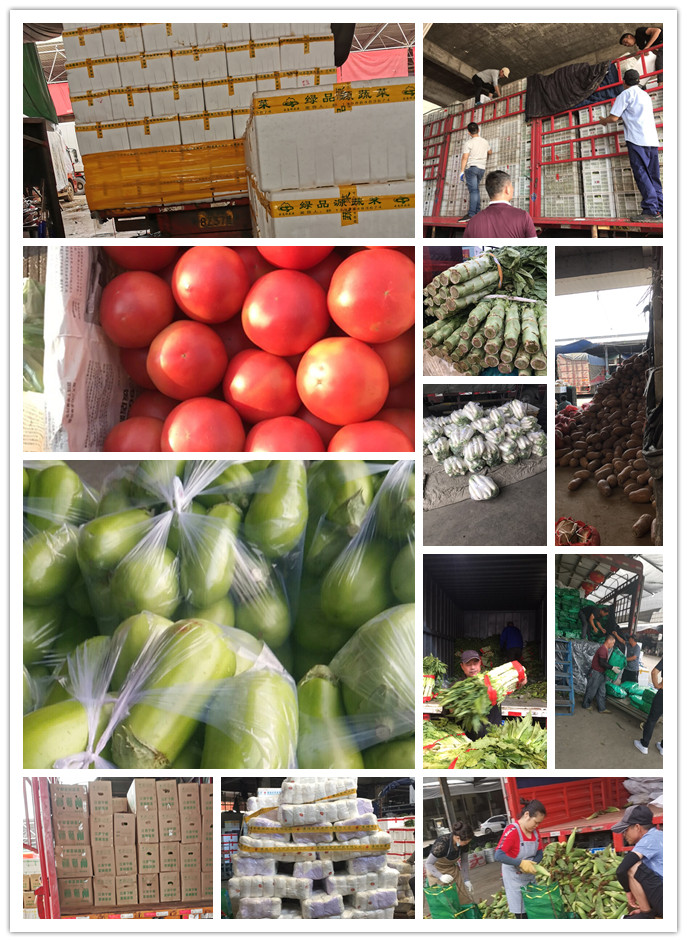 XPJ(中国大陆)有限公司官网