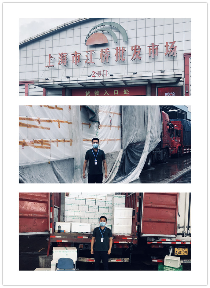 XPJ(中国大陆)有限公司官网