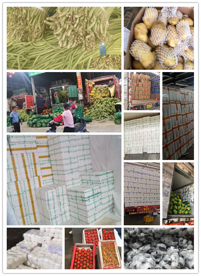 XPJ(中国大陆)有限公司官网