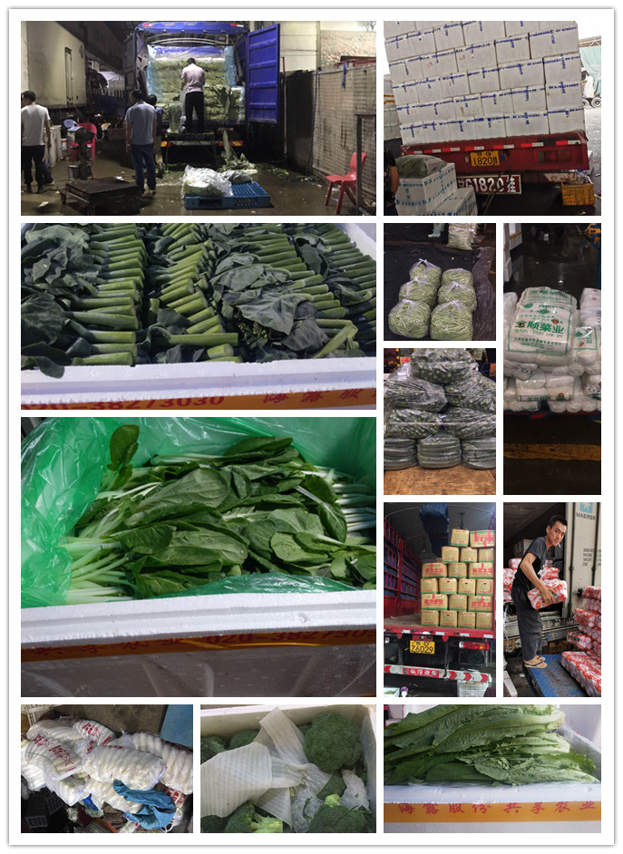 XPJ(中国大陆)有限公司官网