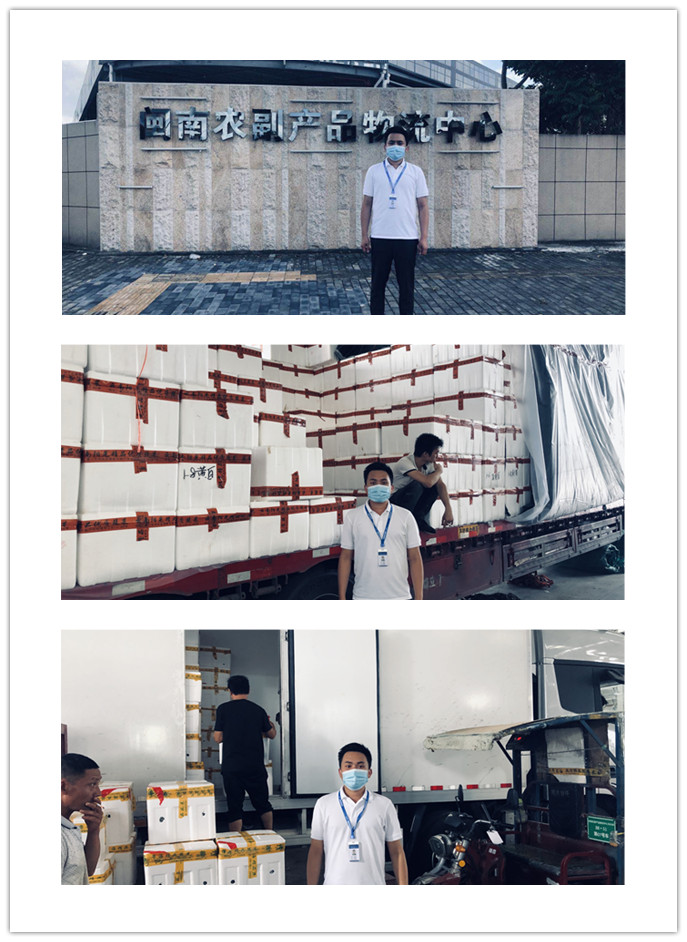 XPJ(中国大陆)有限公司官网