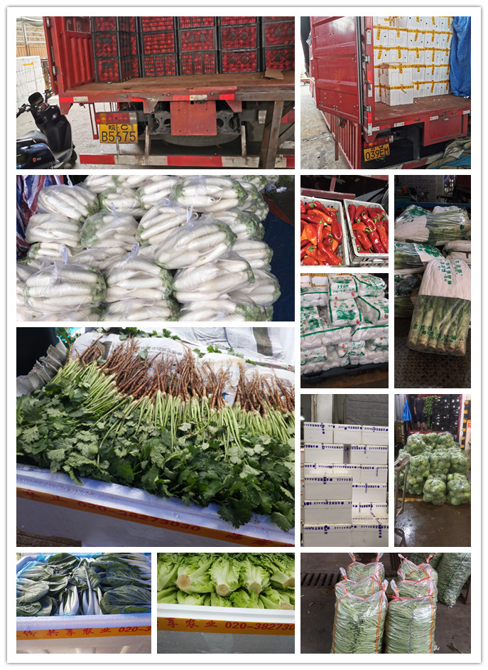 XPJ(中国大陆)有限公司官网