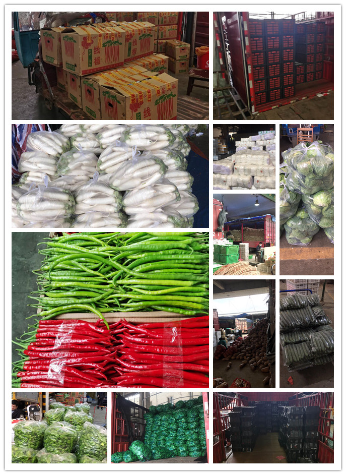 XPJ(中国大陆)有限公司官网