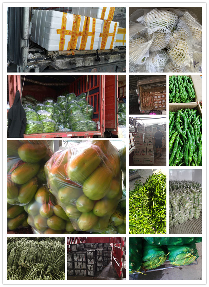 XPJ(中国大陆)有限公司官网