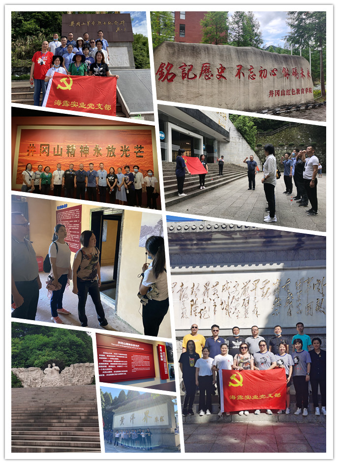 XPJ(中国大陆)有限公司官网