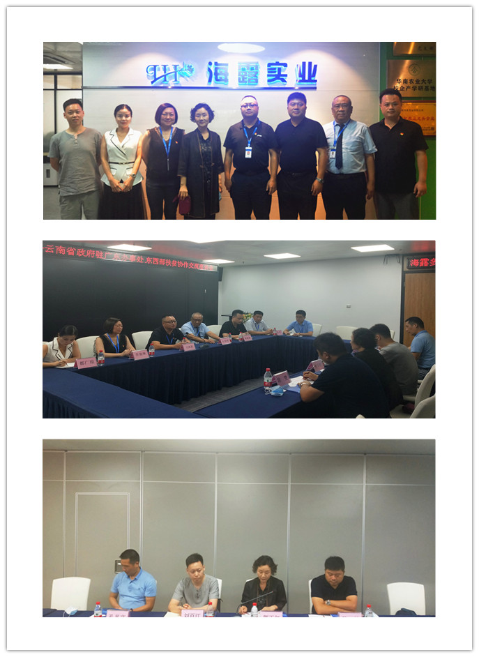 XPJ(中国大陆)有限公司官网