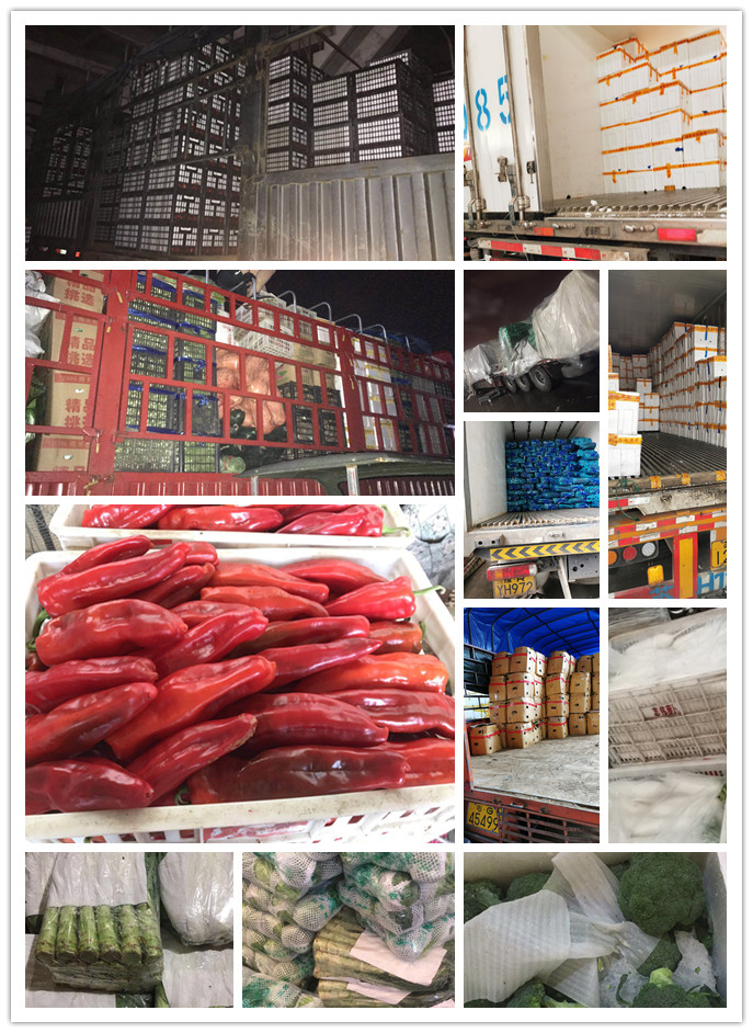 XPJ(中国大陆)有限公司官网