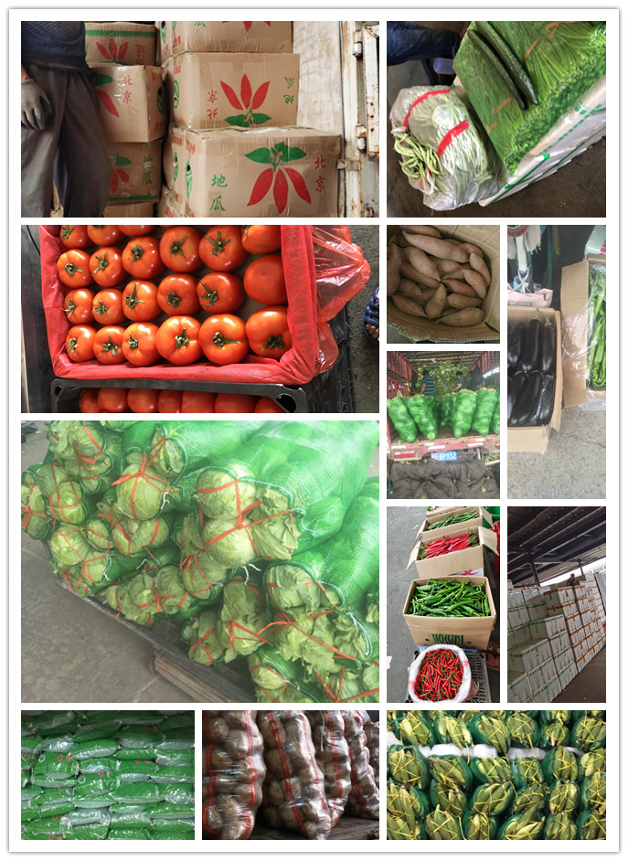 XPJ(中国大陆)有限公司官网