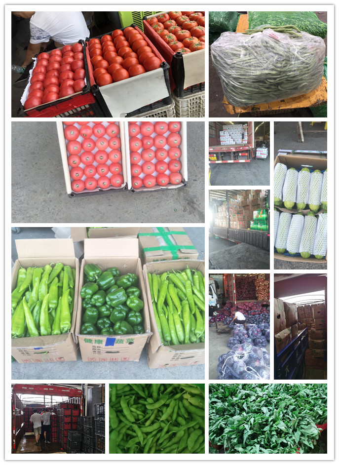 XPJ(中国大陆)有限公司官网