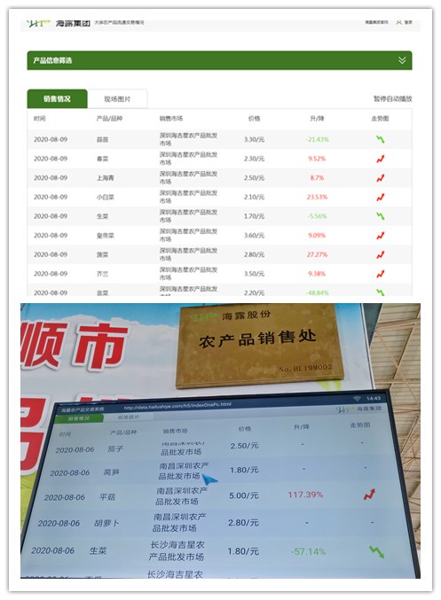 XPJ(中国大陆)有限公司官网