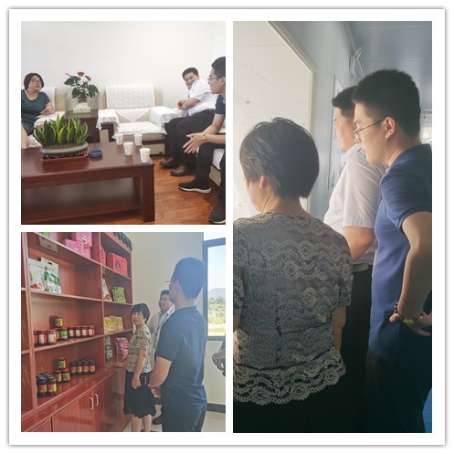 XPJ(中国大陆)有限公司官网