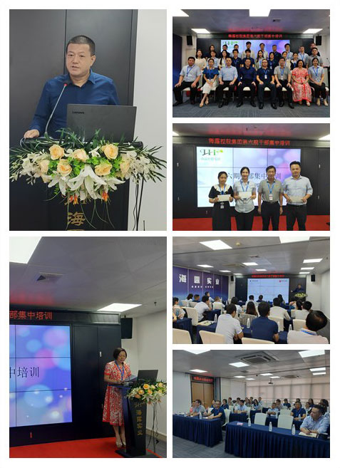 XPJ(中国大陆)有限公司官网