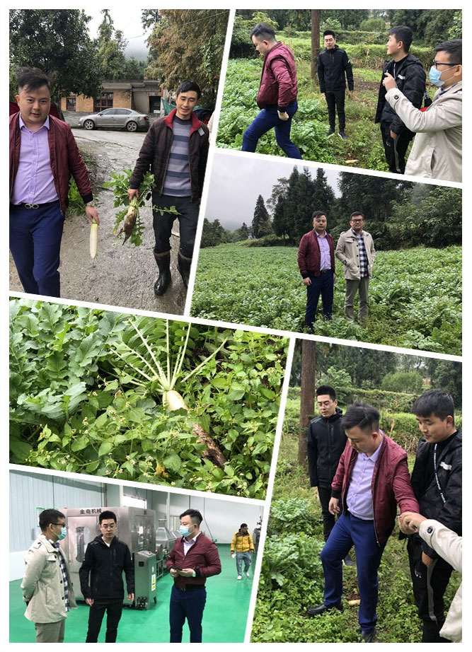 XPJ(中国大陆)有限公司官网