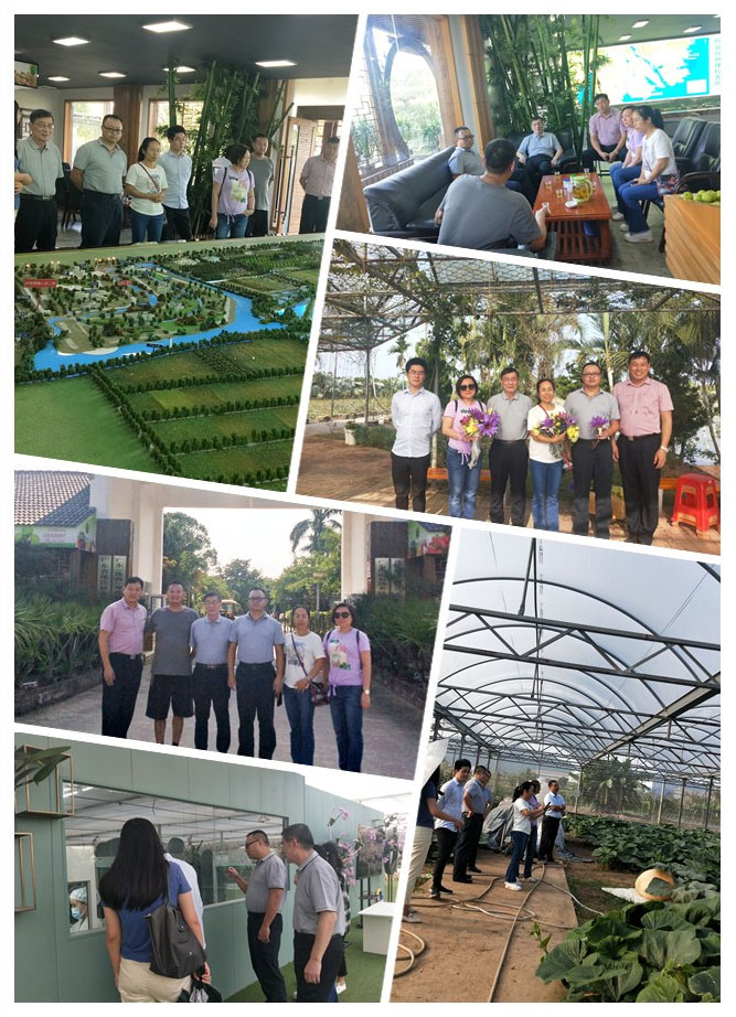 XPJ(中国大陆)有限公司官网