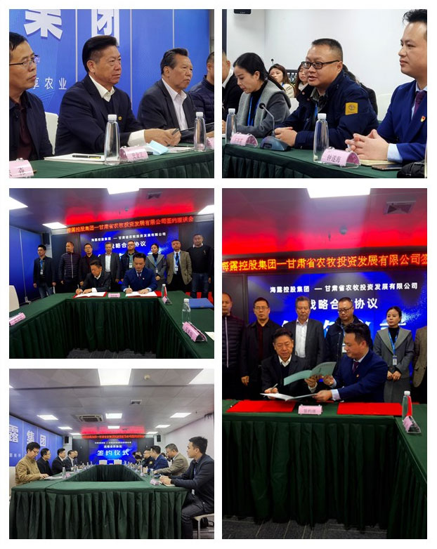 XPJ(中国大陆)有限公司官网