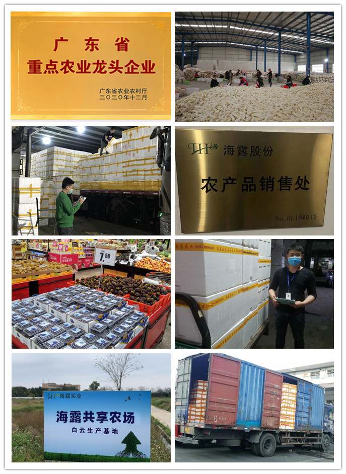 XPJ(中国大陆)有限公司官网