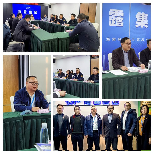 XPJ(中国大陆)有限公司官网