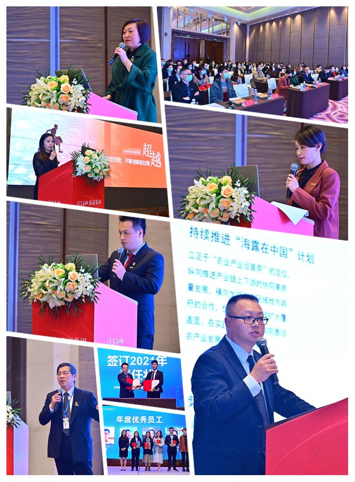 XPJ(中国大陆)有限公司官网