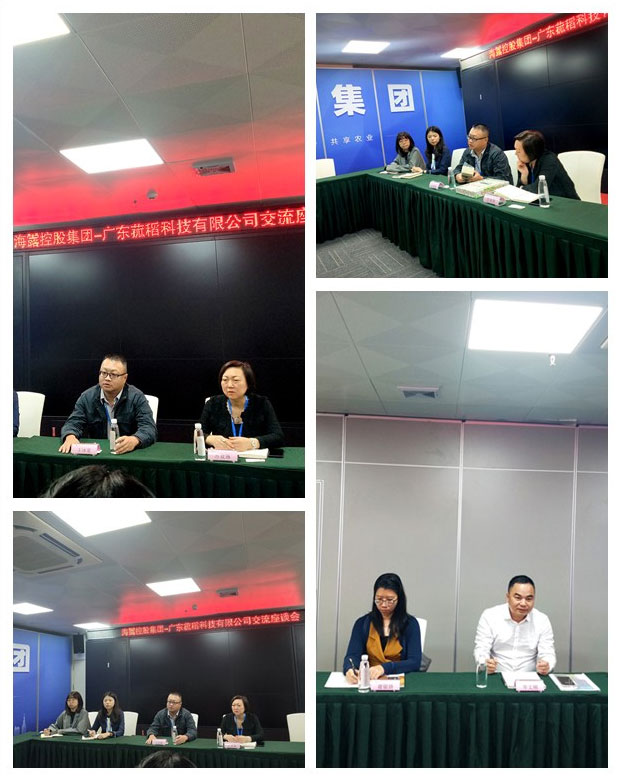 XPJ(中国大陆)有限公司官网