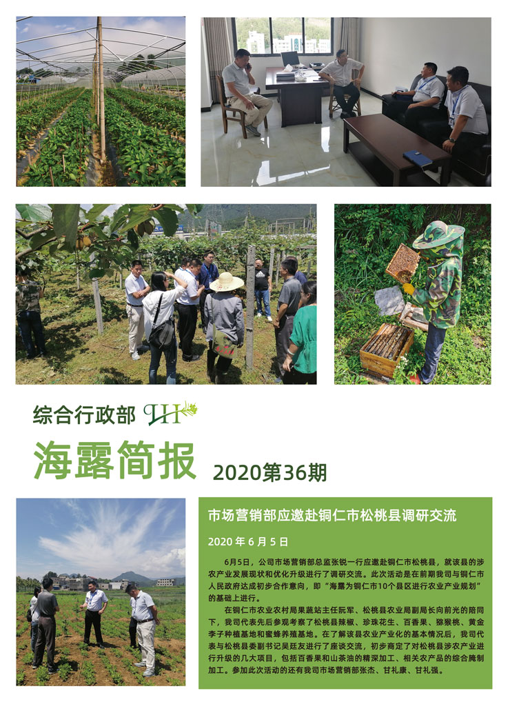 XPJ(中国大陆)有限公司官网