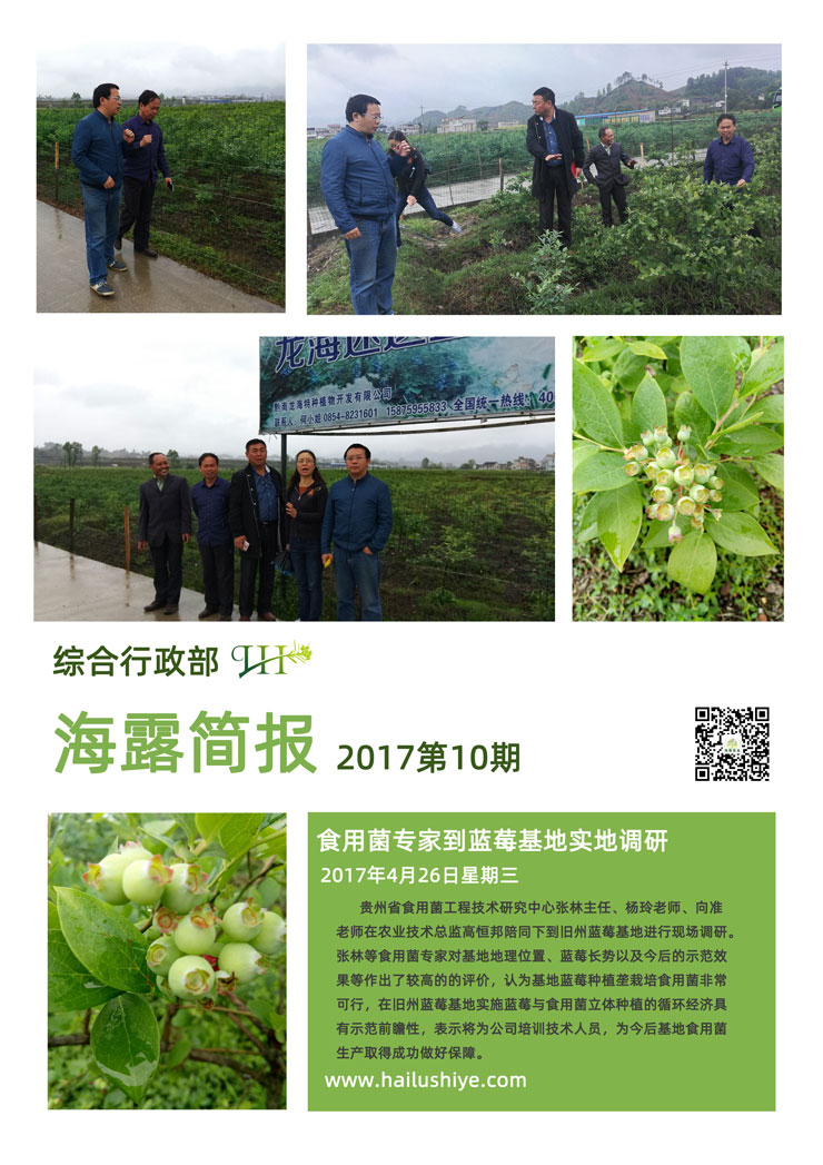 XPJ(中国大陆)有限公司官网