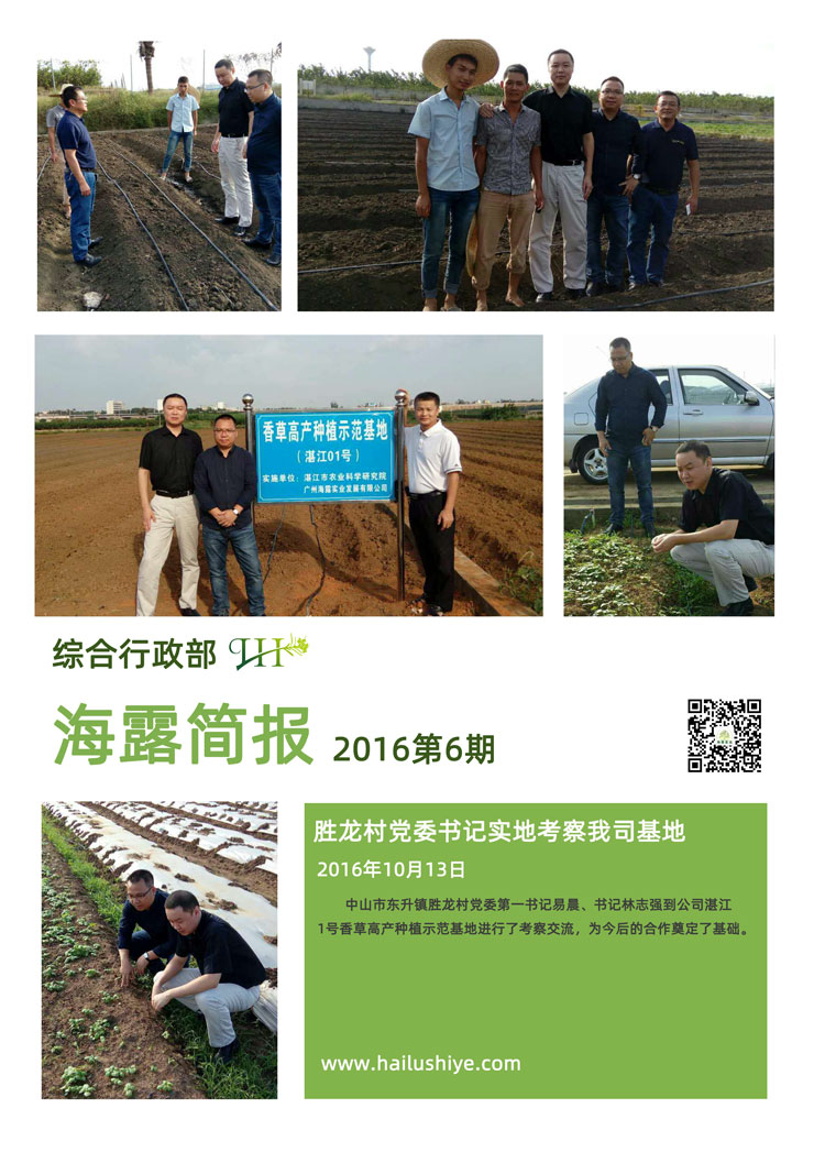 XPJ(中国大陆)有限公司官网