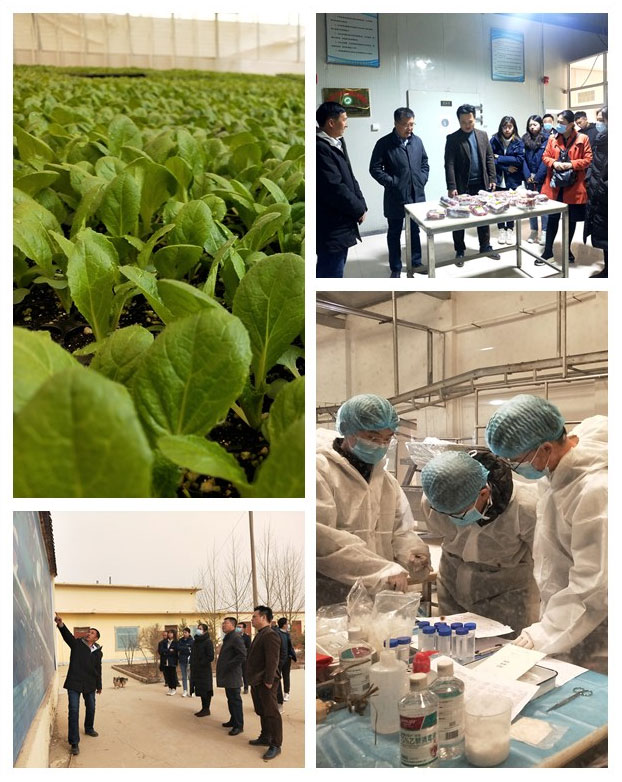 XPJ(中国大陆)有限公司官网