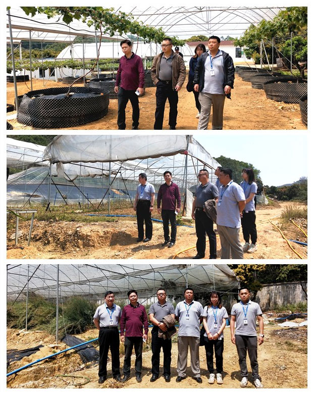 XPJ(中国大陆)有限公司官网