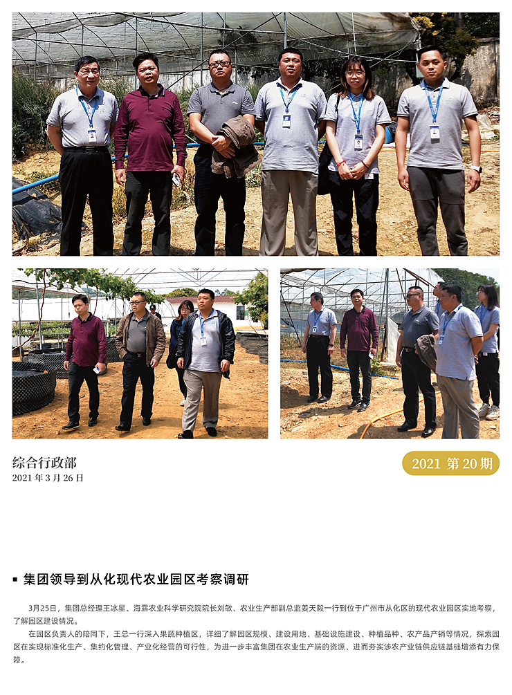 XPJ(中国大陆)有限公司官网