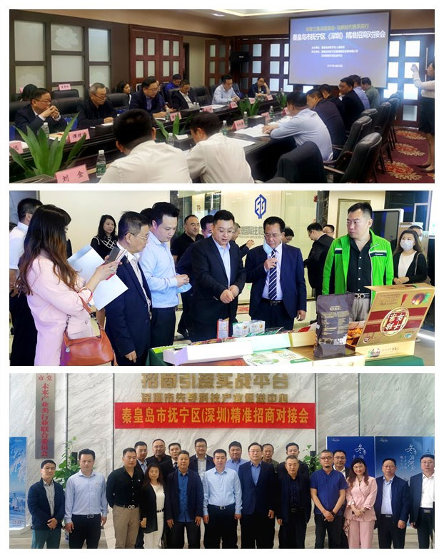 XPJ(中国大陆)有限公司官网