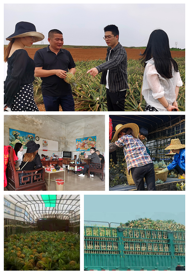 XPJ(中国大陆)有限公司官网