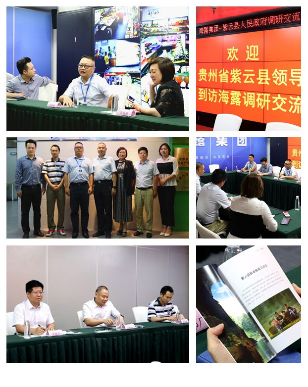 XPJ(中国大陆)有限公司官网