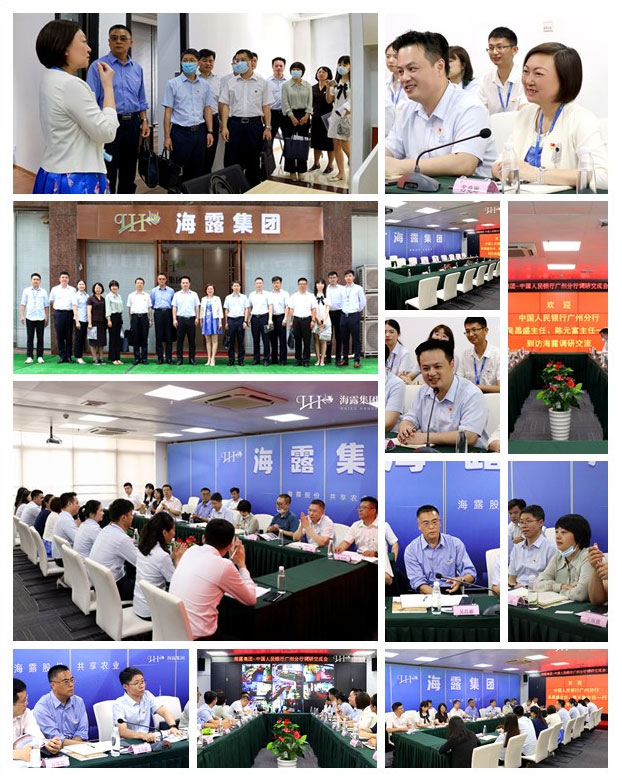 XPJ(中国大陆)有限公司官网