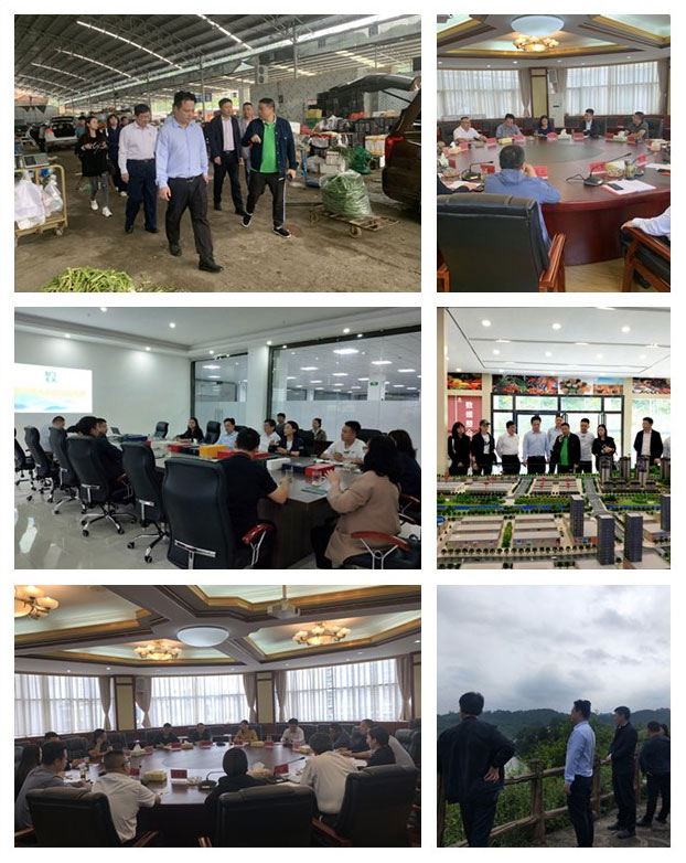 XPJ(中国大陆)有限公司官网