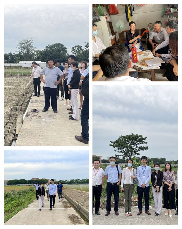 XPJ(中国大陆)有限公司官网